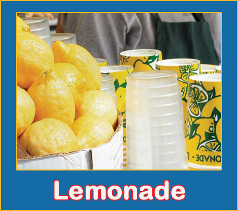 Lemonade Sugar Shake Ups