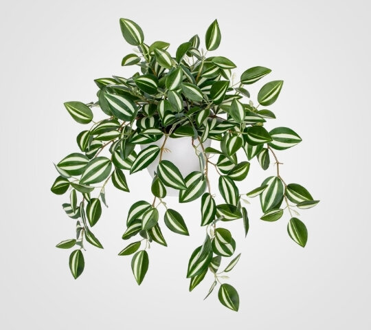 Peperomia Leaf Plant - Artificial