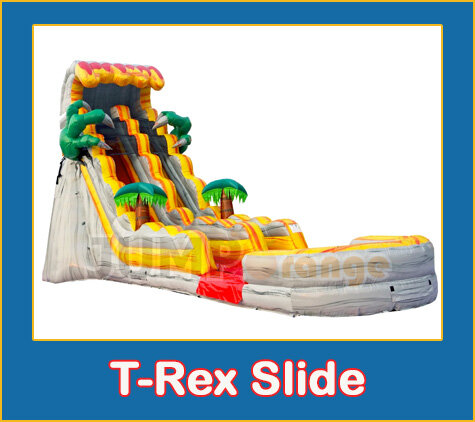 19' T-Rex Slide