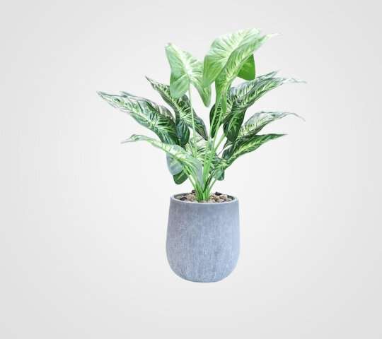 Taro Leaf Plant - Artificial