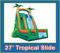 27' Tropical Falls 2 Lane Slide Dry Only