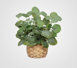 Eucalyptus Leaf Plant - Artificial