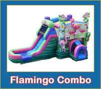 Flamingo Combo