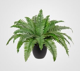 Fern Plant - Artificial