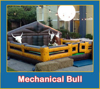 Mechanical Bull