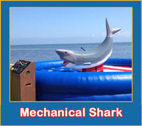 Mechanical Shark