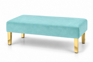 Ottoman - Rose - Gold Legs - Robin Egg Velvet