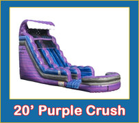 20' Purple Crush