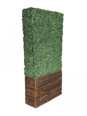 Room Divider - Box Wood - Brown Frame