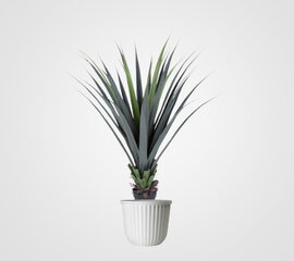 Agave Plant 3FT - Artificial