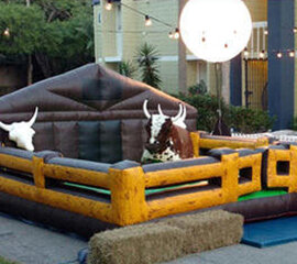 Mechanical Bull