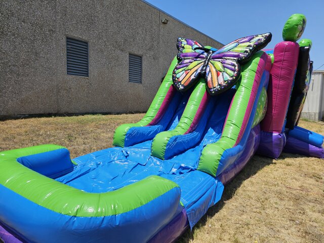 Butterfly Combo Bounce House