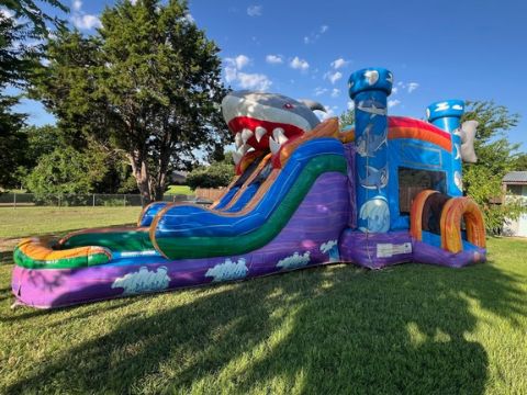 Bounce House Rentals in Prosper TX from Let's Jump