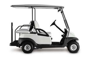 Golf Cart 4 Passenger 