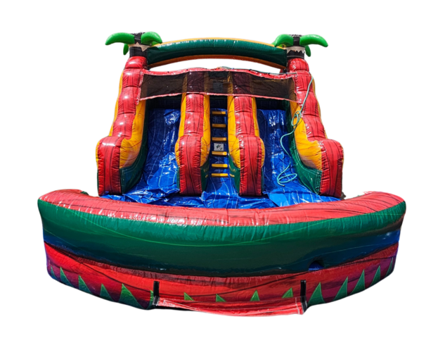 Paradise Dual Lane Slide
