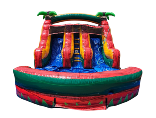 Paradise Dual Lane Slide