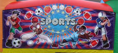 Sports Panel