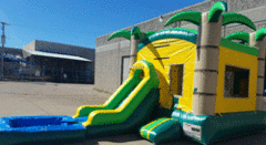 Palm Tree Combo with Splash Pool