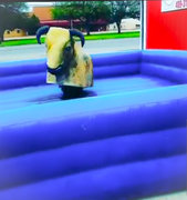 Mechanical Bull 2hr min $200/hr