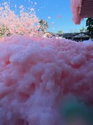 GENDER REVEAL FOAM