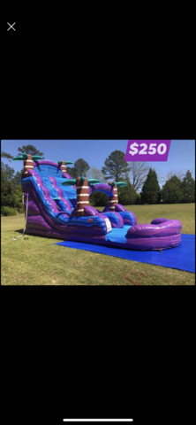 Purple Tropical 18Ft Waterslide 