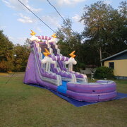   PURPLE STORM(22ft)Waterside 