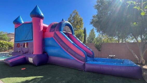 princess water slide combo