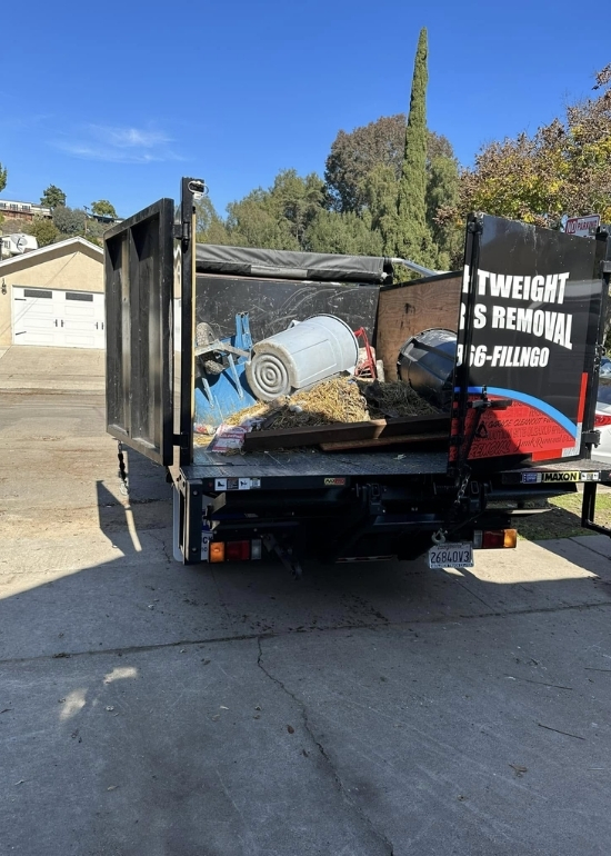 Professional Junk Removal Services