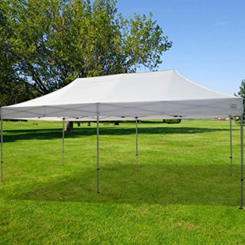 10 x 10 Easy Up Canopy