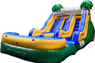 12' Tropical Dual Water Slide 