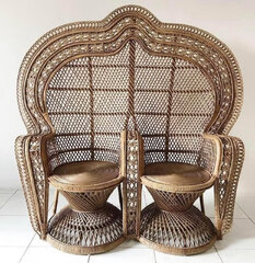 Double Wicker Peacock Chair