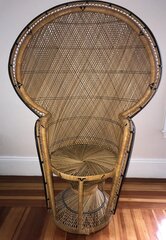 Adult Brown Peacock Chair