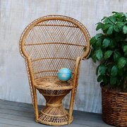 Wicker Peacock Chair