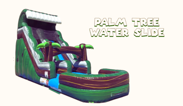 Palm Tree Water Slide