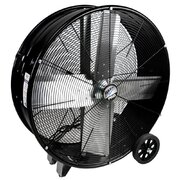 Fan Medium (Ground)