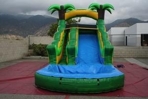 Big Fun 16 ' Tropical Water Slide