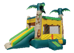 JUNGLE FUN COMBO SLIDE