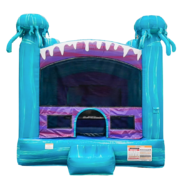 15x15 Jelly Fish Bounce House