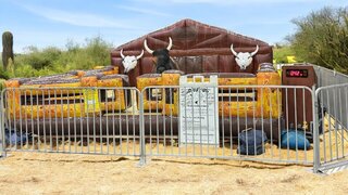 Brutus- Deluxe Barnyard Bull