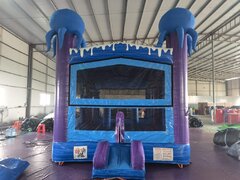 Aqua Fun Bouncer(Coming Soon)