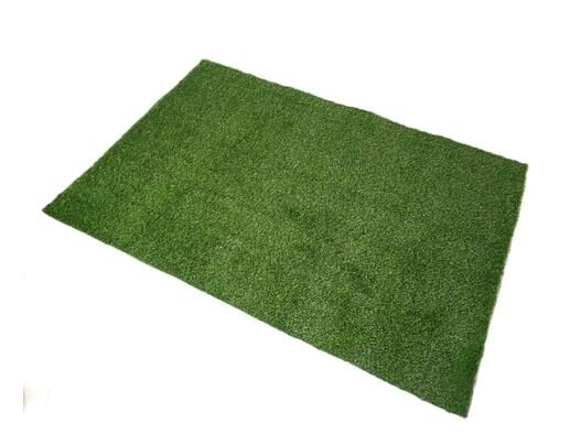 Artificial Grass Carpet - Rental
