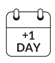 Rental Fee for Additional Day - Balloon Decor