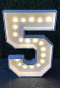 "5" 4ft LED Number Marquee