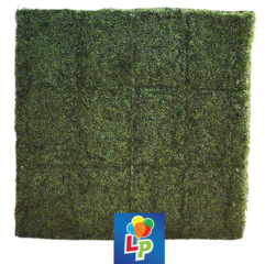 6x6 Grasswall Backdrop- Rental