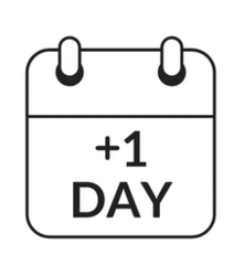 Rental Fee for Additional Day - Balloon Decor