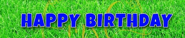 Happy Birthday Yard Phrase Blue