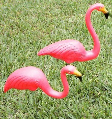 Flamingo Yard Signs