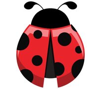 Ladybug (c)