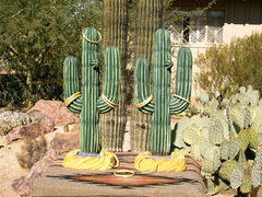 Cactus Toss (1pt)
