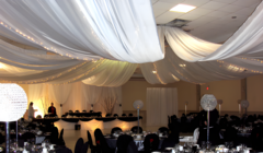 Ceiling Drapes